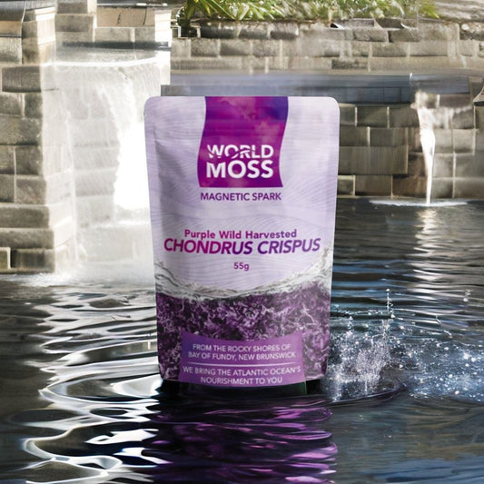 Video: The Power of Purple Chondrus crispus