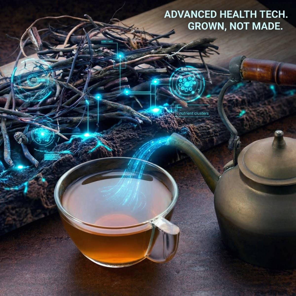 Sarsaparilla Root - World Moss