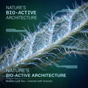 Mullein Leaves - World Moss