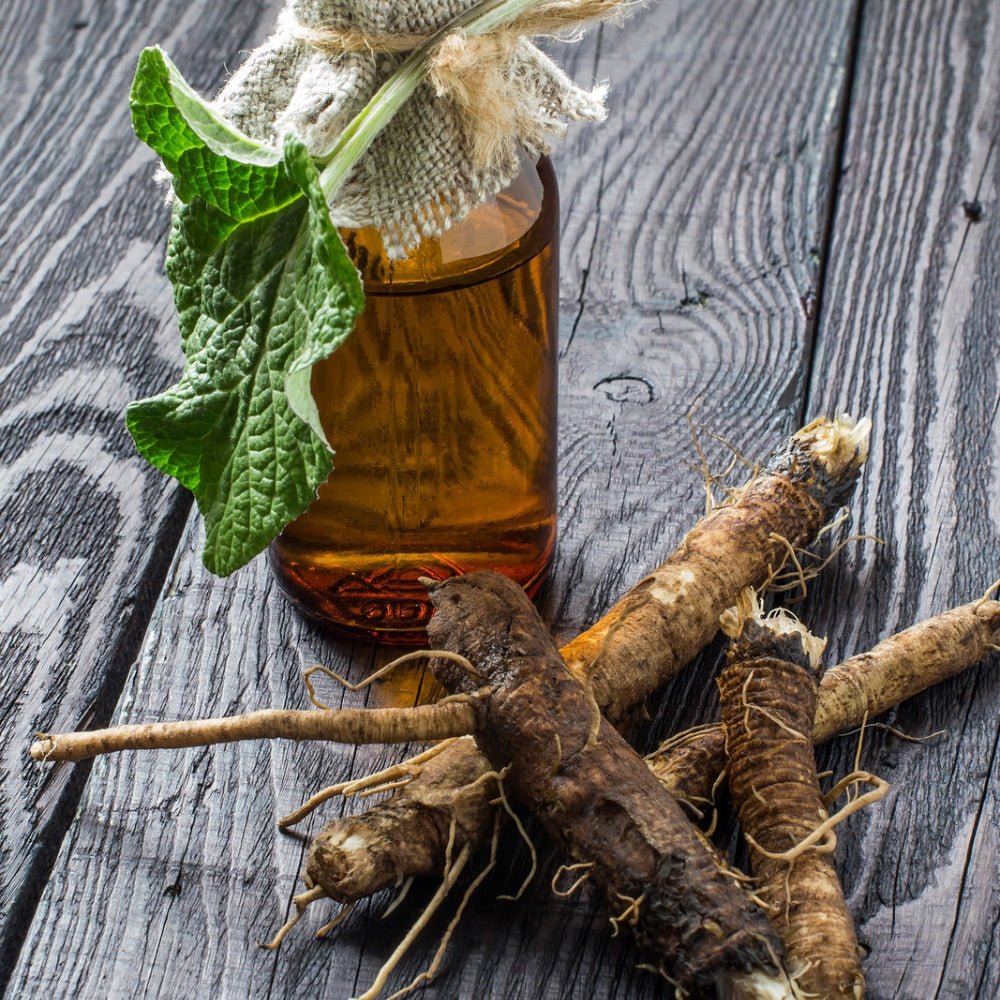 World Moss Burdock Root - Buy Burdock Root Canada - World Moss