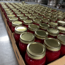 Rows of jars with red contents and gold lids in a cardboard box, likely in a food processing plant.
