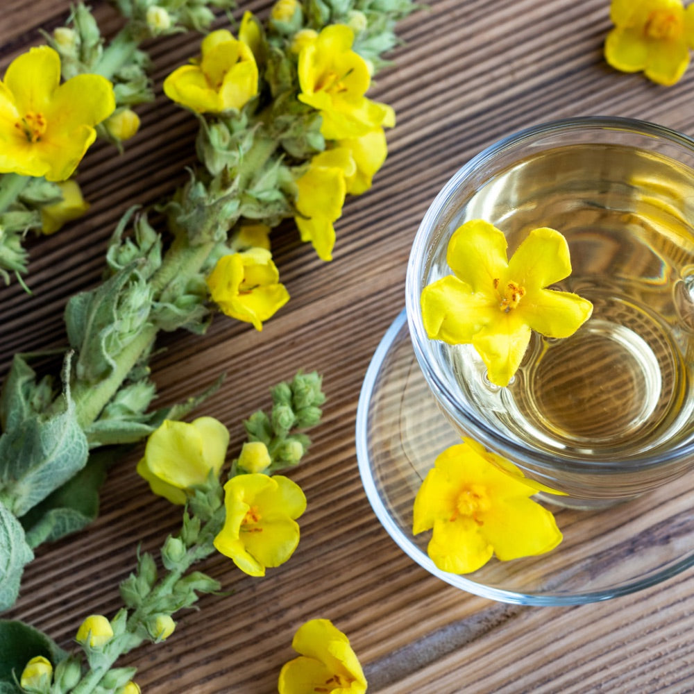 Glass of tea with mullein leaves for tea and fresh yellow flowers on a wooden surface