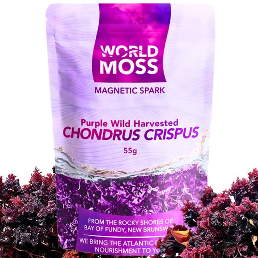 Magnetic Spark - Wild Harvested Canadian Chondrus crispus - World Moss