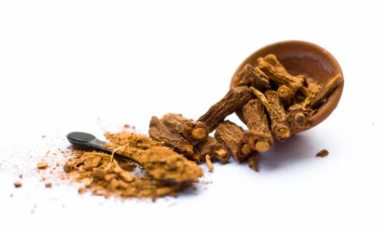 Natural sarsaparilla root in a wooden bowl and loose, perfect to buy sarsaparilla root tea