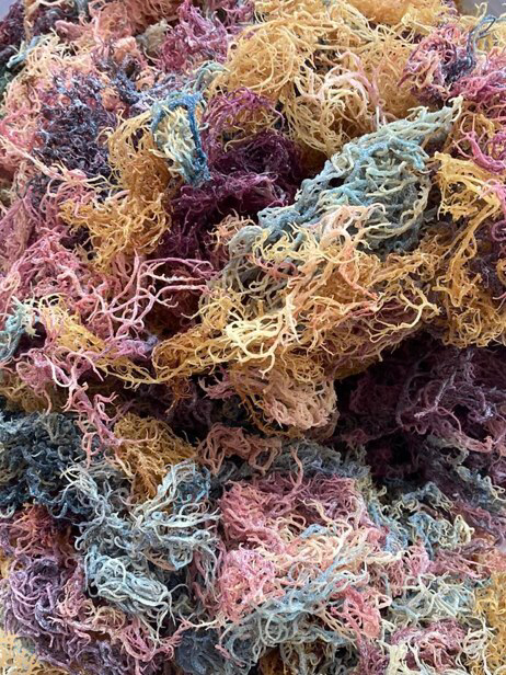 St. Lucian Full Spectrum Sea Moss Toronto Canada