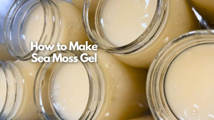 How to Make Sea Moss Gel: A Simple Guide for Beginners - World Moss