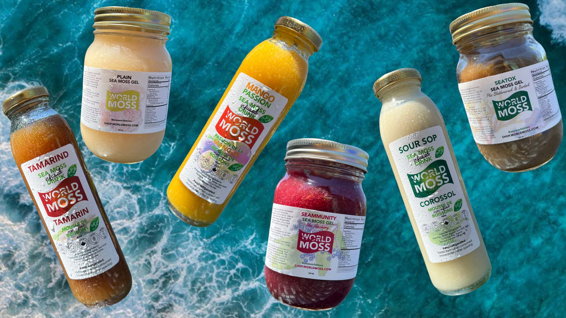 Discover Organic Sea Moss from Different Countries: A Guide - World Moss