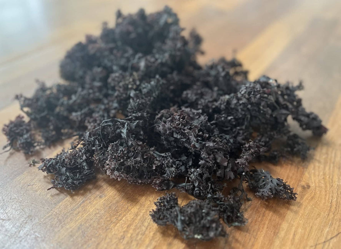 This superfood saved an entire nation from famine - World Moss