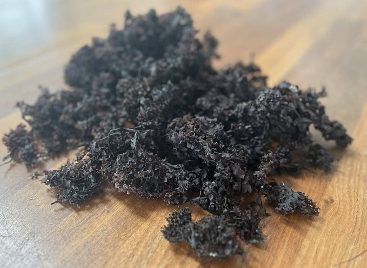 This superfood saved an entire nation from famine - World Moss