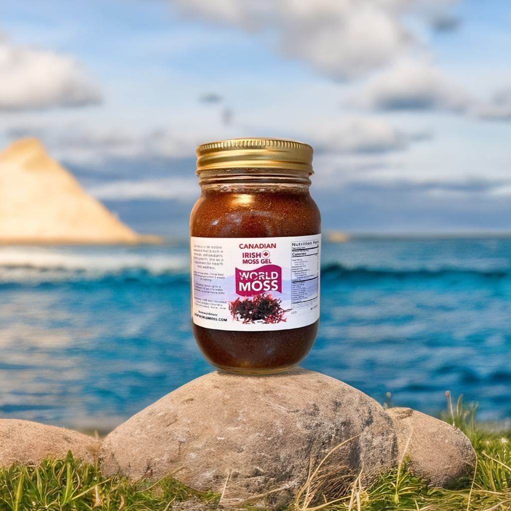 Discover Purple Irish Moss Gel Benefits for Wellness - World Moss