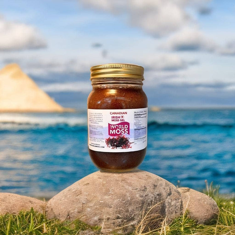 Discover Purple Irish Moss Gel Benefits for Wellness - World Moss