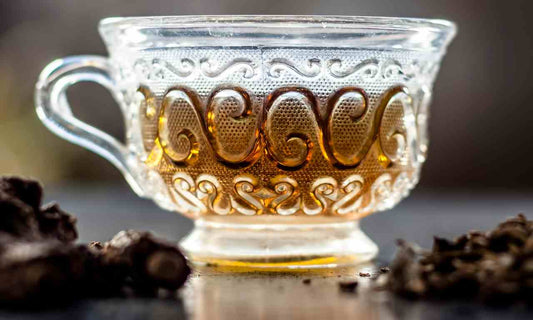 Discover the Amazing Sarsaparilla Root Benefits for Wellness - World Moss