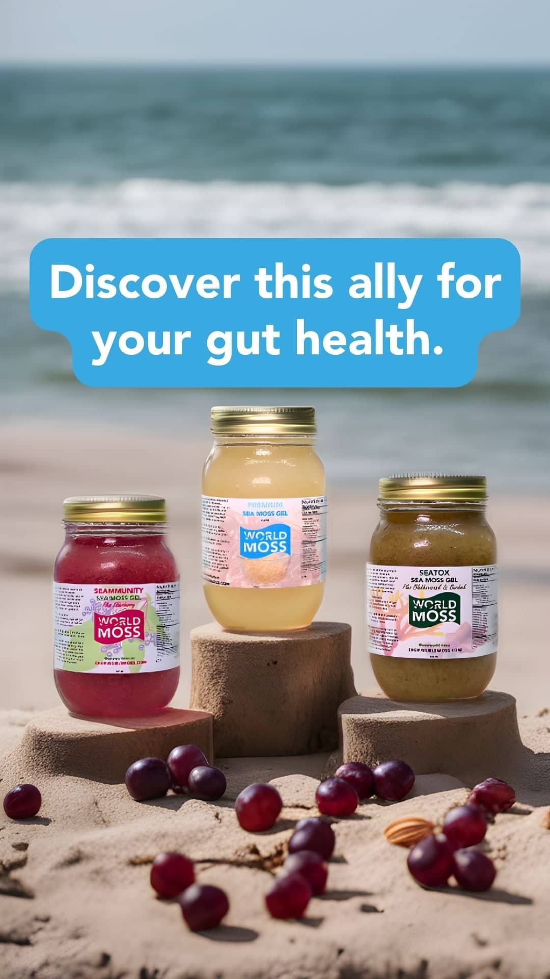 Unlock the Sea Moss Benefits for Gut Health Today! - World Moss