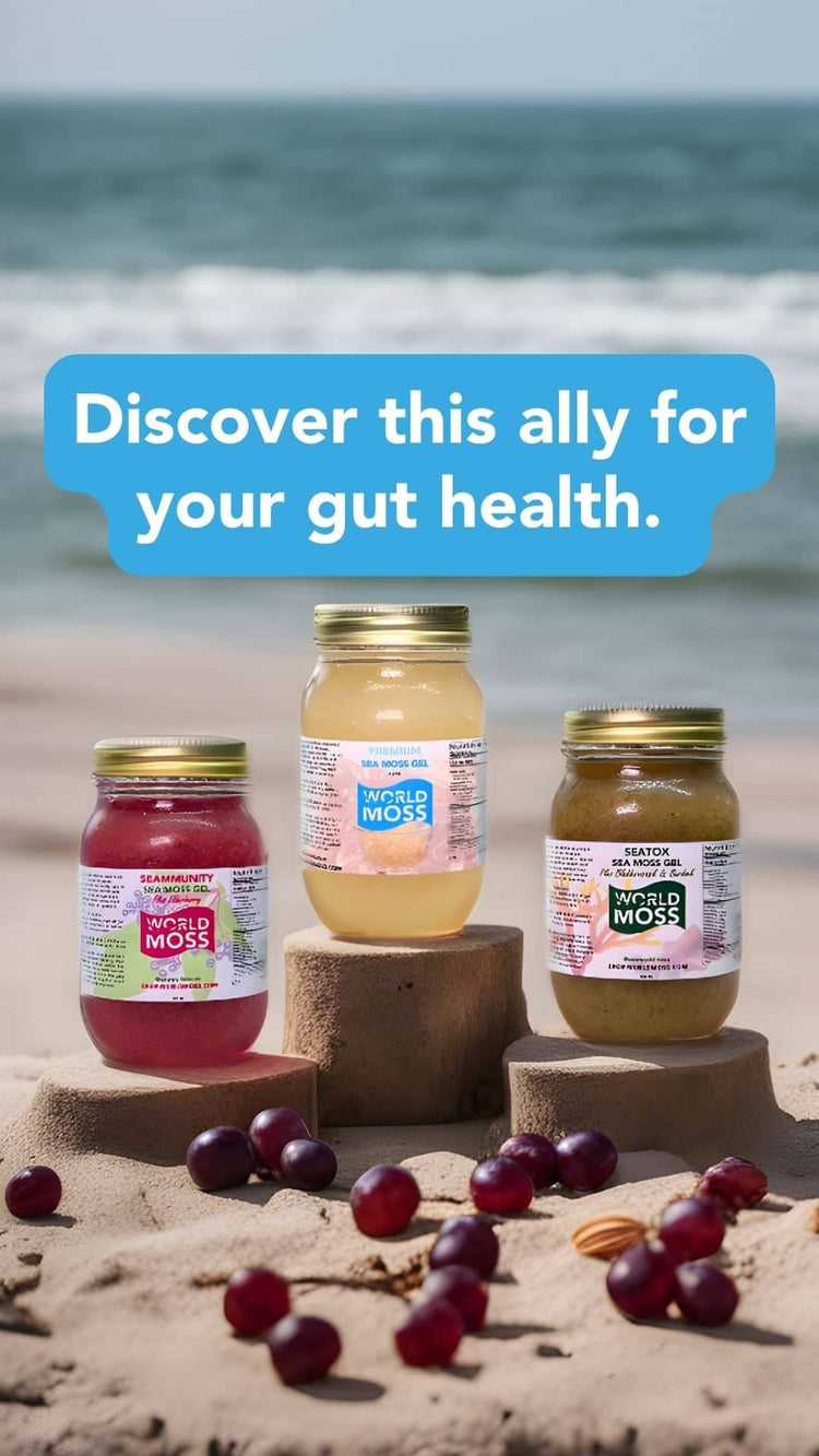Unlock the Sea Moss Benefits for Gut Health Today! - World Moss