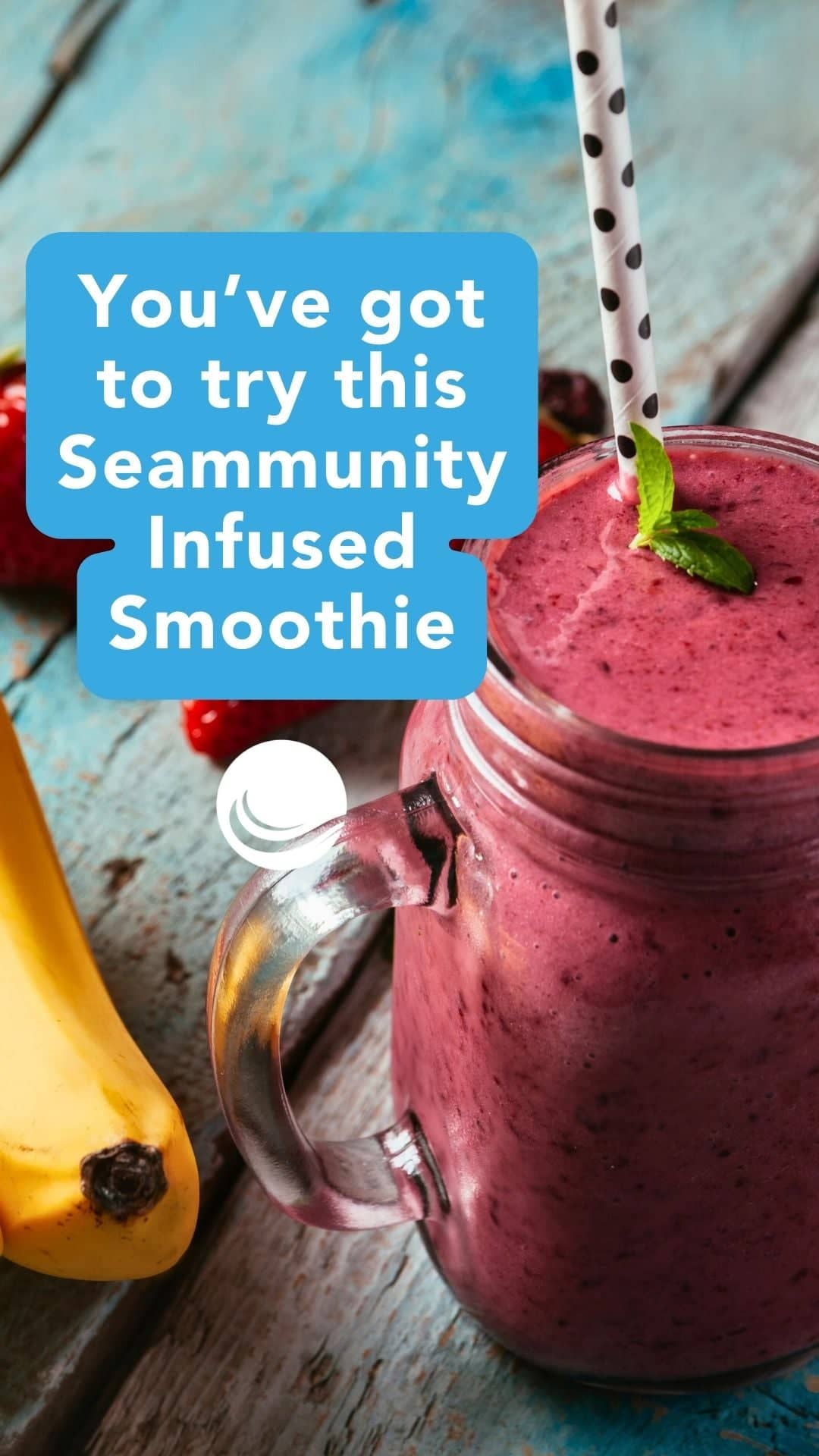 How to Make an Elderberry Sea Moss Smoothie Recipe - World Moss