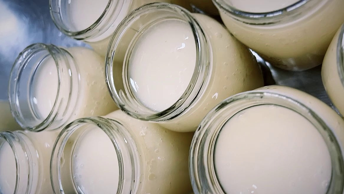Jars of yogurt or a similar dairy product on a metal surface.