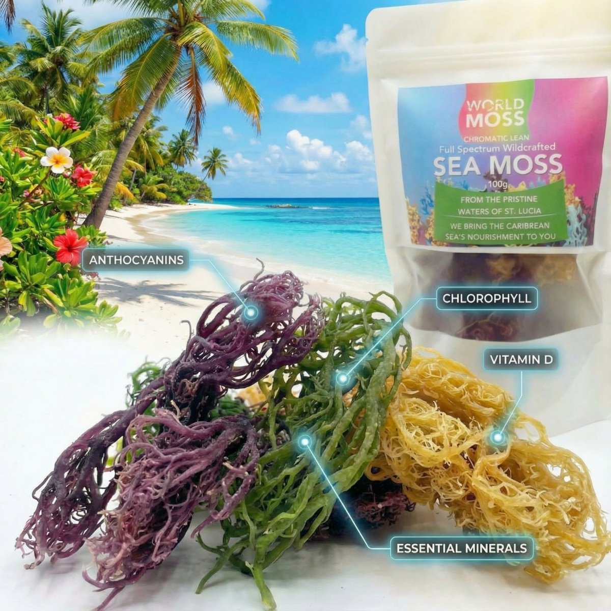 Wildcrafted Full Spectrum St. Lucian Sea Moss (Chromatic Lean) - World Moss
