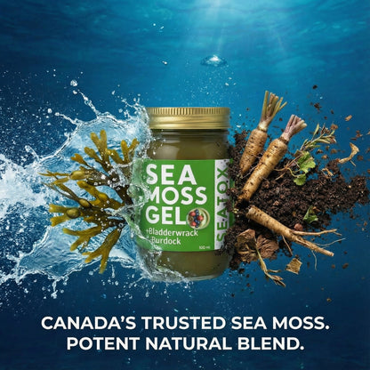 Seatox - World Moss Bladderwrack and Burdock Sea Moss Gel