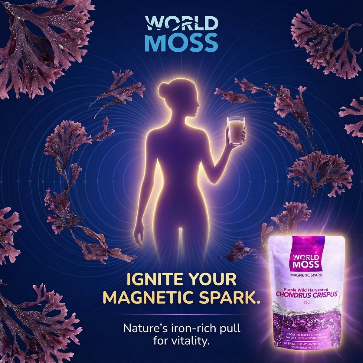 Magnetic Spark - Wild Harvested Canadian Chondrus crispus - View 2