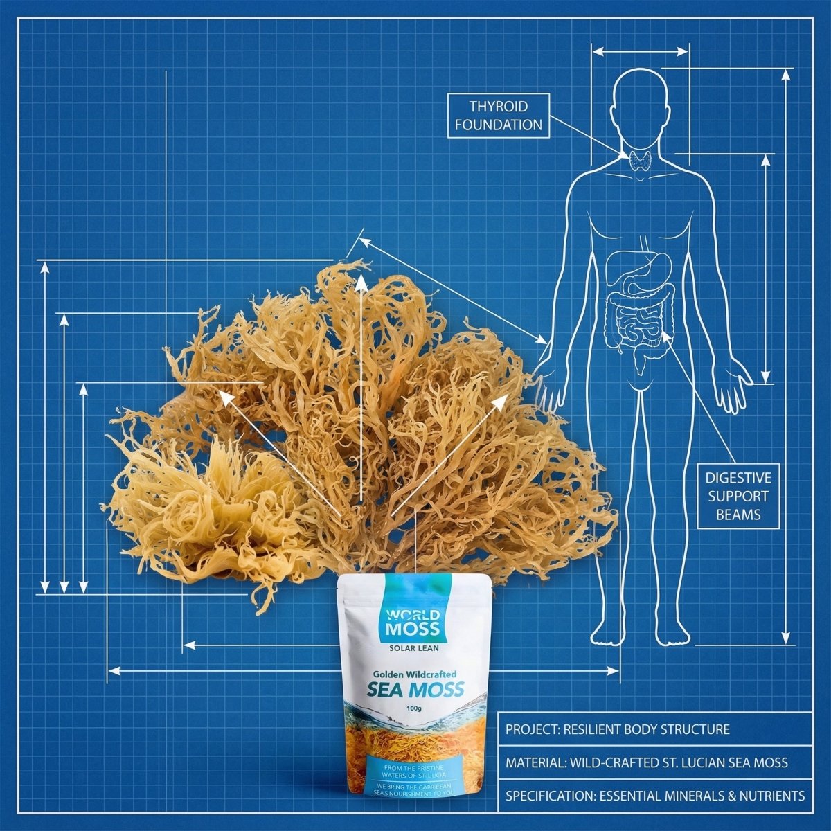 World Moss Golden St. Lucian Sea Moss Raw 100g - World Moss