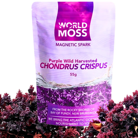 Magnetic Spark - Wild Harvested Canadian Chondrus crispus