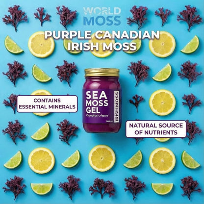 World Moss Purple Irish Moss Gel - World Moss
