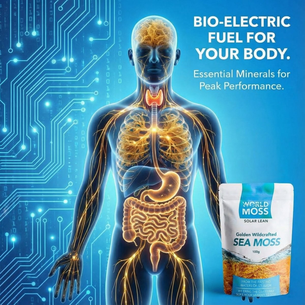 World Moss Golden St. Lucian Sea Moss Raw 100g - World Moss