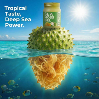 Sour Sop Sea Moss Gel (Premium Soursop + Wildcrafted Moss) - World Moss