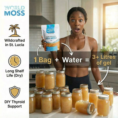 World Moss Golden St. Lucian Sea Moss Raw 100g - World Moss