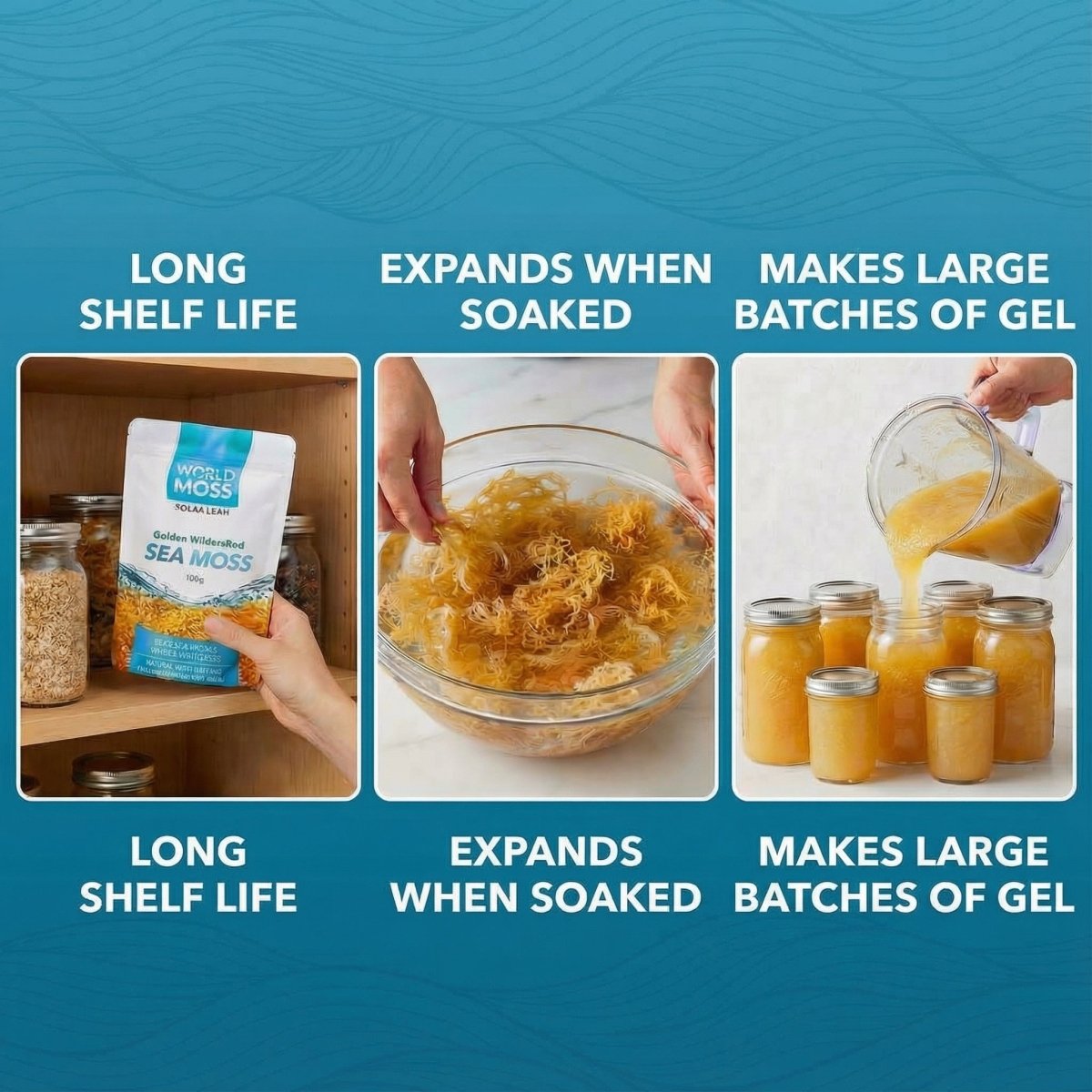 World Moss Golden St. Lucian Sea Moss Raw 100g - World Moss