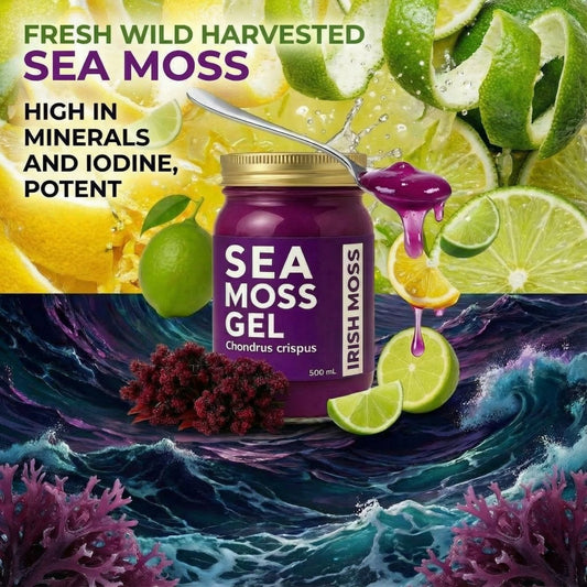 World Moss Purple Irish Moss Gel - World Moss