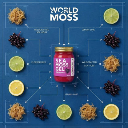 Elderberry Sea Moss Gel - World Moss