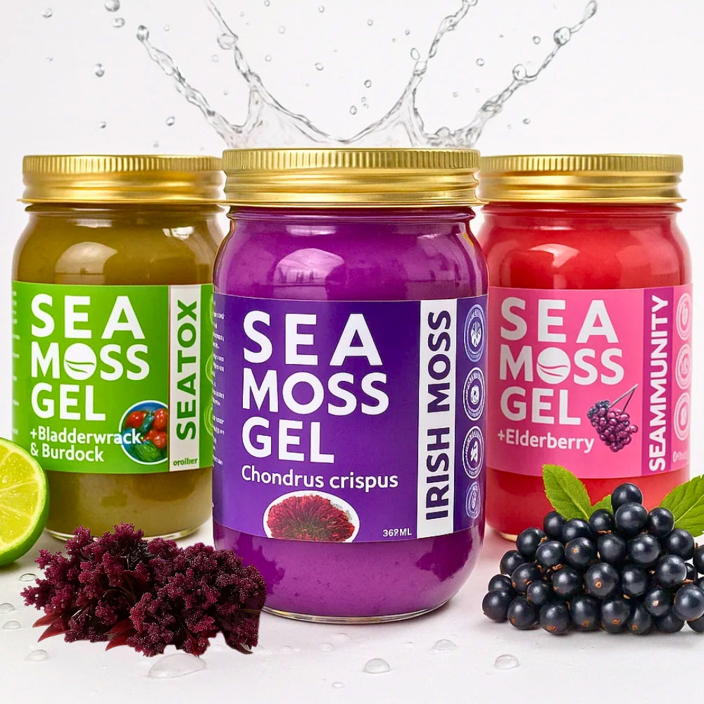 Buy Sea Moss Gel Online three jars with Bladderwrack Burdock, Irish Moss, and Elderberry flavors from World Moss