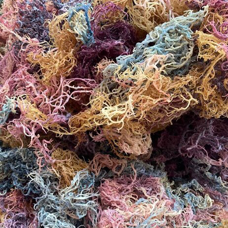 Chromatic Lean - Full Spectrum - Wild Harvested St. Lucian Sea Moss