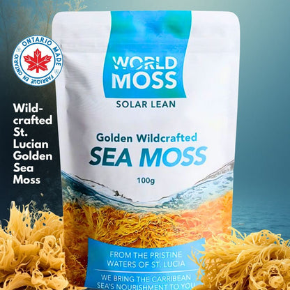 World Moss Golden St. Lucian Sea Moss Raw 100g - World Moss