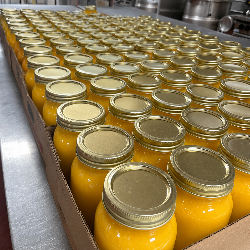 Rows of yellow jars with gold lids in a cardboard box on a metal surface.