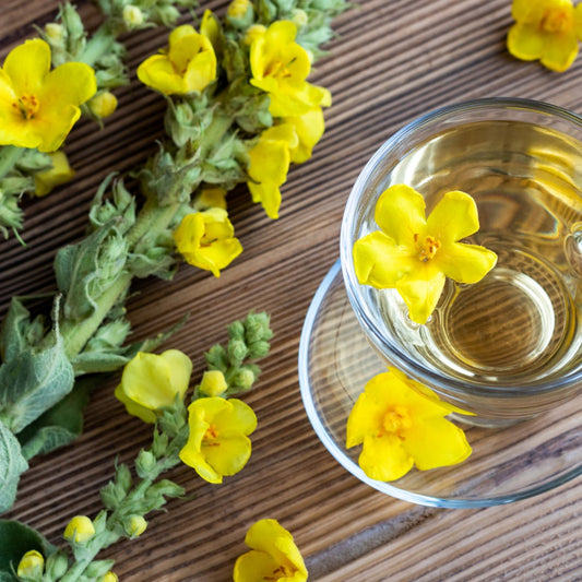 Glass of tea with mullein leaves for tea and fresh yellow flowers on a wooden surface