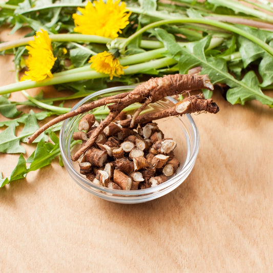 Organic dandelion root in a small glass bowl with fresh dandelion greens in the background