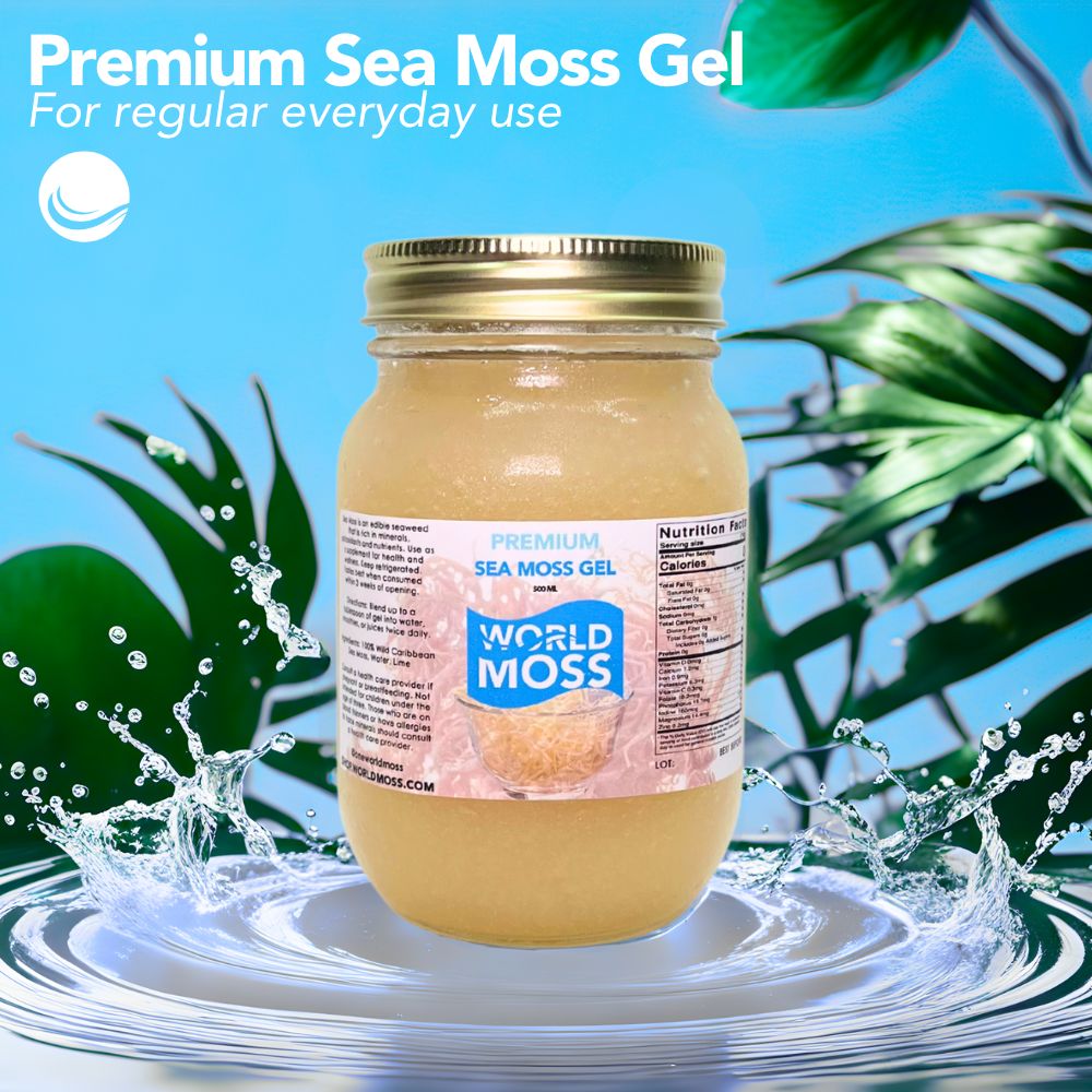 Wholesale Plain Sea Moss Gel