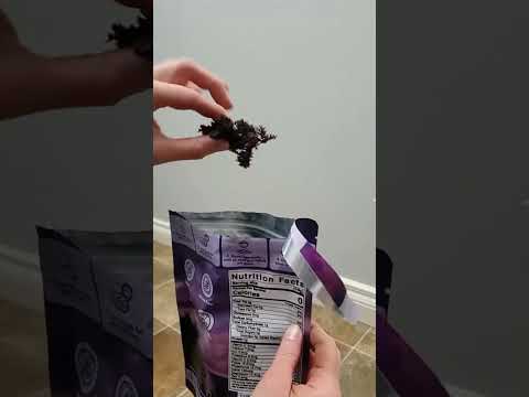 Wild Harvested Canadian Chondrus Crispus (Magnetic Spark) - Raw Sea Moss