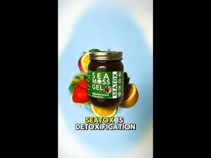 Seatox - World Moss Bladderwrack and Burdock Sea Moss Gel