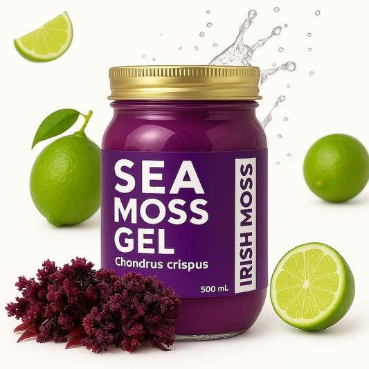 Purple Irish Moss Gel by World Moss in a jar with fresh limes and seaweed, 500 mL