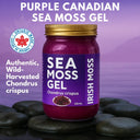 World Moss Purple Irish Moss Gel - World Moss