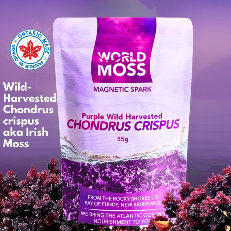 Magnetic Spark - Wild Harvested Canadian Chondrus crispus - View 10