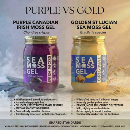 Purple and Gold Sea Moss Gel from World Moss showing Irish and Golden St Lucian varieties, ideal for sea moss gel Canada.