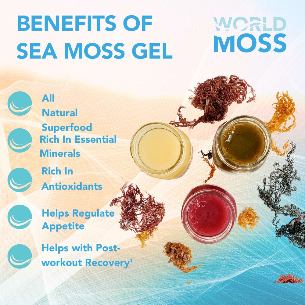 Essentials Moss Trio - Premium Sea Moss Gel, Seammunity and Seatox