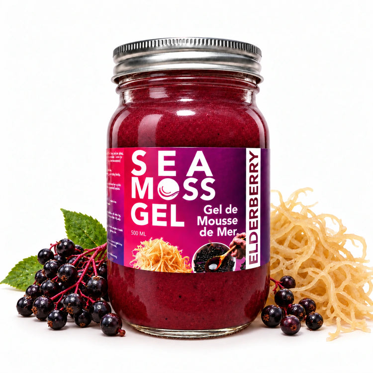 World Moss Elderberry Sea Moss Gel 500 mL jar with elderberries and sea moss on a white background
