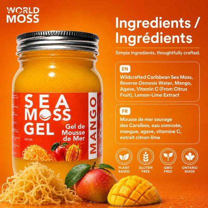 A jar of World Moss Sea Moss Gel in Mango flavor, displayed on an orange background with ingredient text and illustrations of mangoes and seaweed. The jar has a red label with white and yellow text, a silver metal lid, and is surrounded by loose seaweed strands and fresh mangoes.