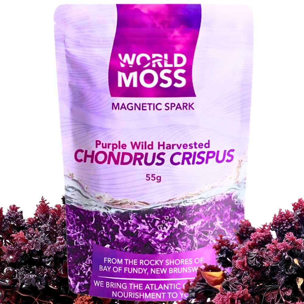World Moss Purple Wild Harvested Canadian Chondrus Crispus in 55g pouch with seaweed backdrop