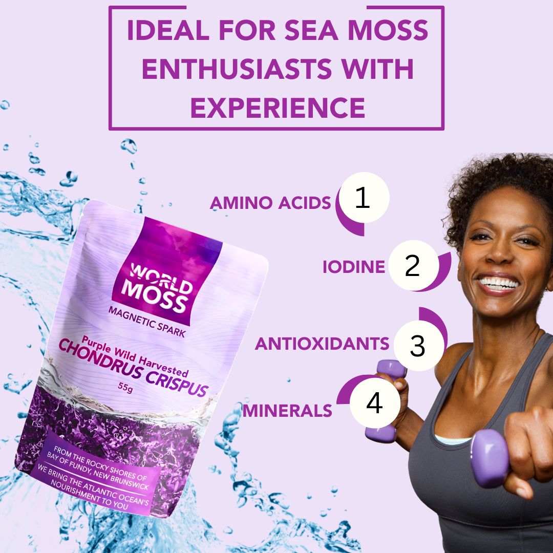 World Moss Raw Sea Moss Packaging featuring wild harvested Canadian chondrus crispus with health benefits